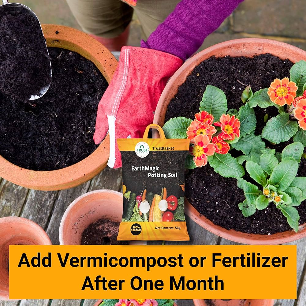 best soil mix (3L) x6袋 61-wWRrNv0L._AC_UF350,